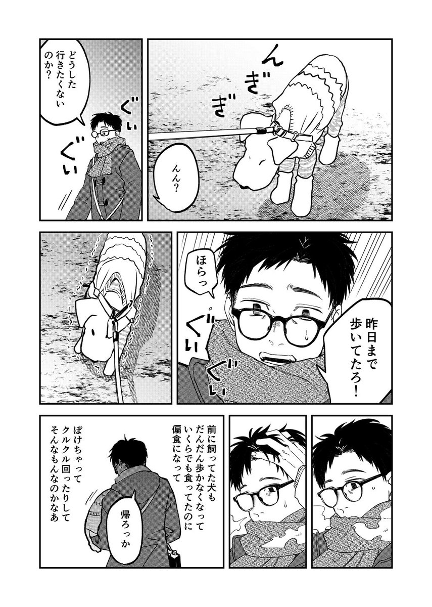老犬の老いに向き合う話。(1/3) 