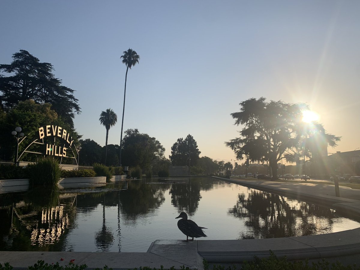 Pitch and Run LA tweet media