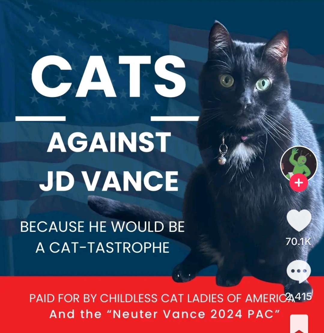SusanRuiz_KS23's tweet photo. Approved by Street Cats for KS Rep Susan Ruiz https://t.co/qZNjBvCfQK