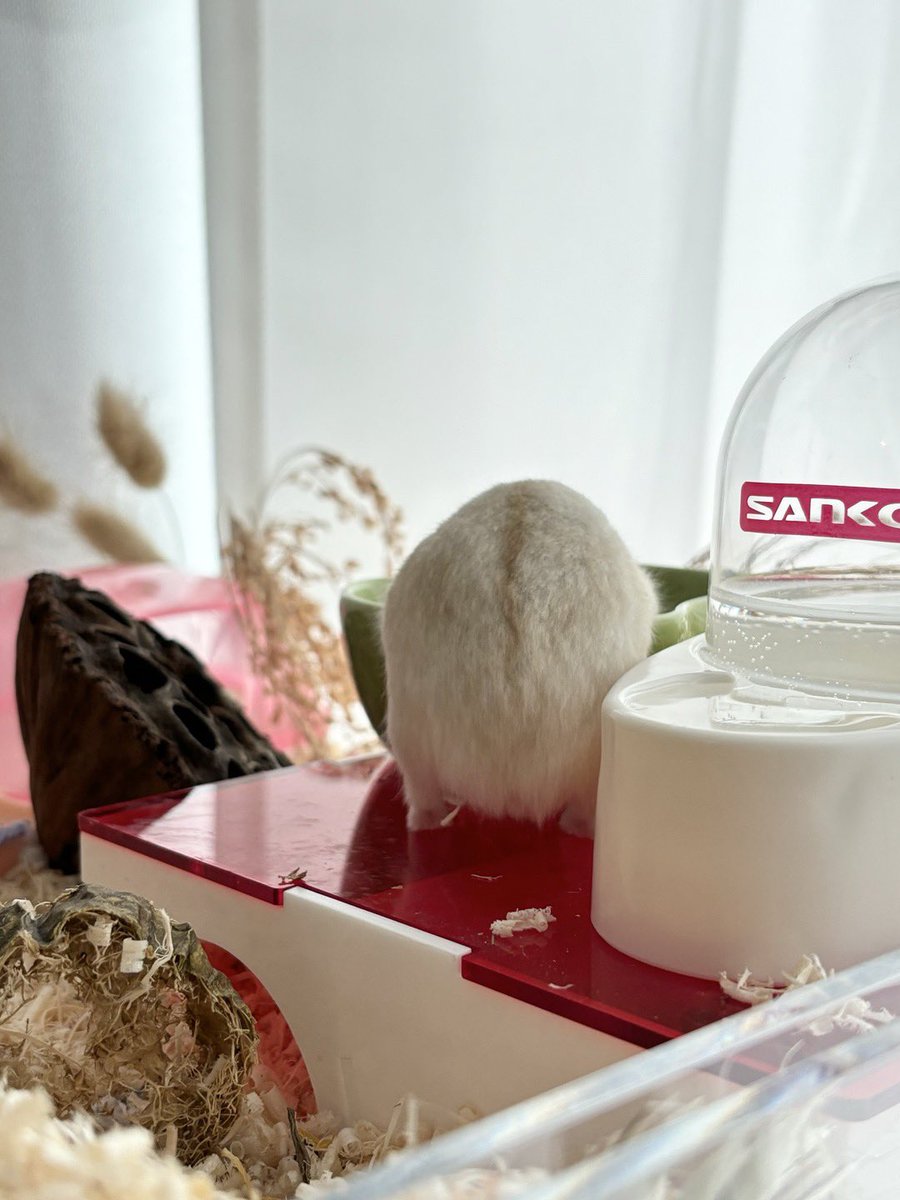 휴지에게… tweet media