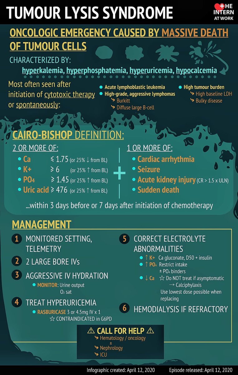 🦀 Cairo Bishop of Tumor lysis syndrome