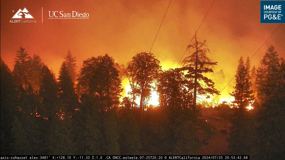 Cryptus Christ tweet media