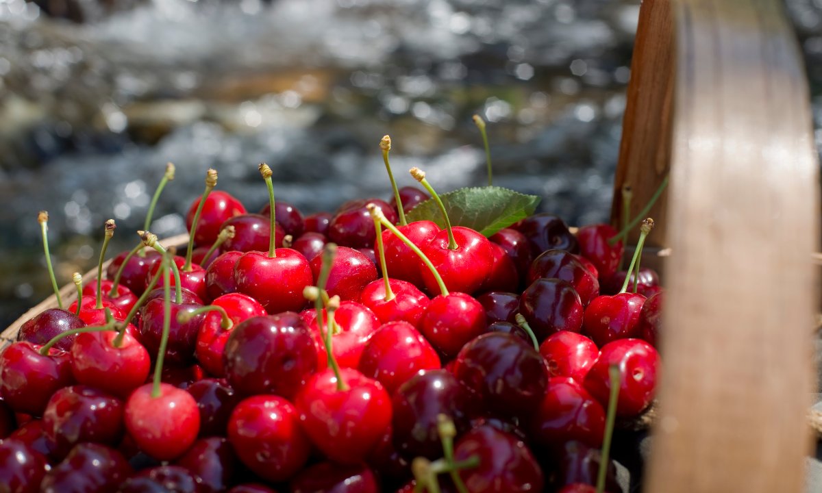 NickLovesSpain's tweet photo. 20 food &amp; drink items that Spain does better than any country in Europe:

(a 🧵) https://t.co/YRN4ETI4Ra