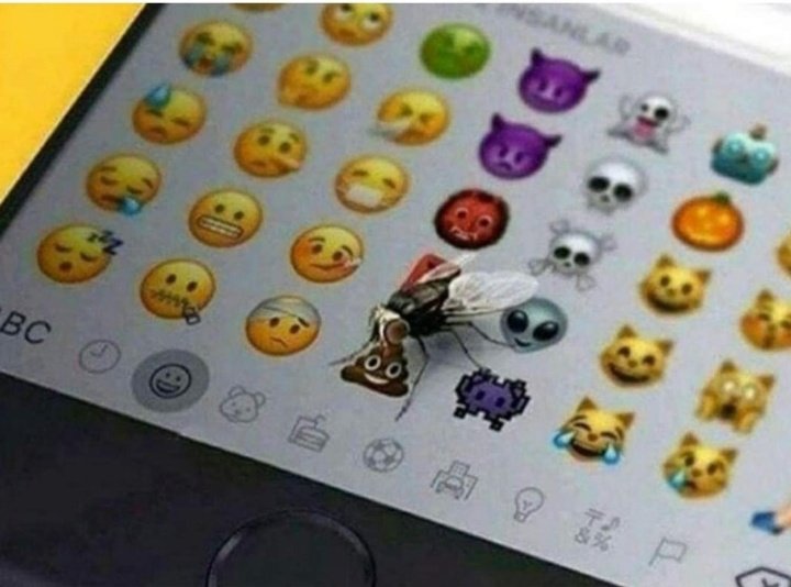 Flies will always be flies. 😂