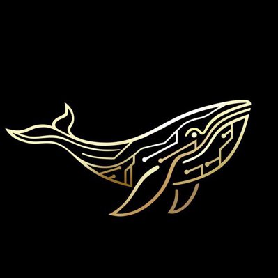 Andreas__crypto's tweet photo. #NewProfilePic https://t.co/k8qiFerj15