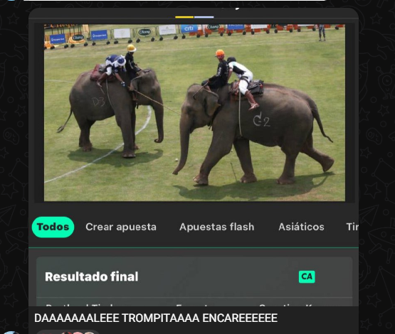 Cuando no sabes más que apostar: