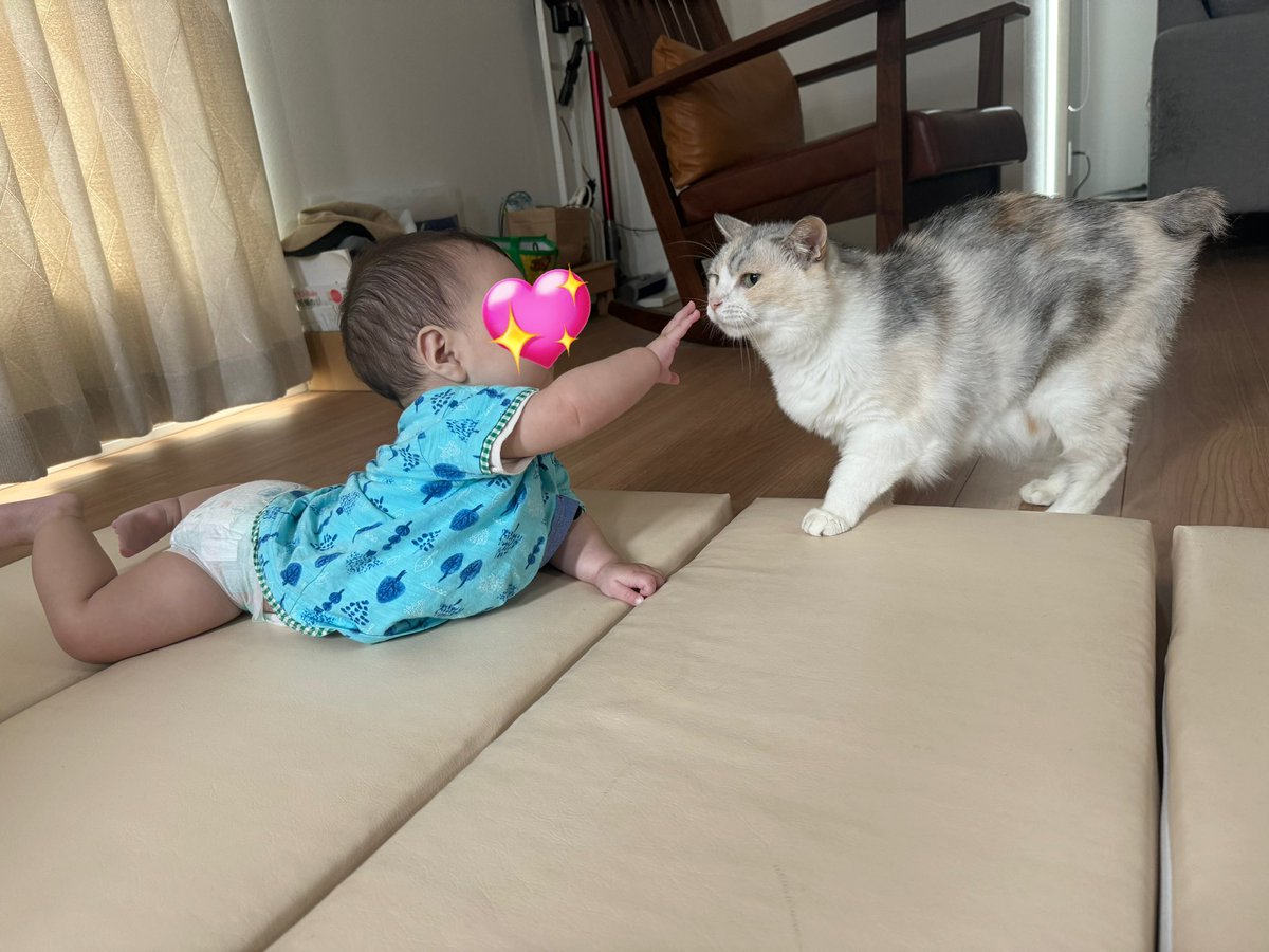 soraaaaa_87's tweet photo. かわいい https://t.co/VVPbr8Torw