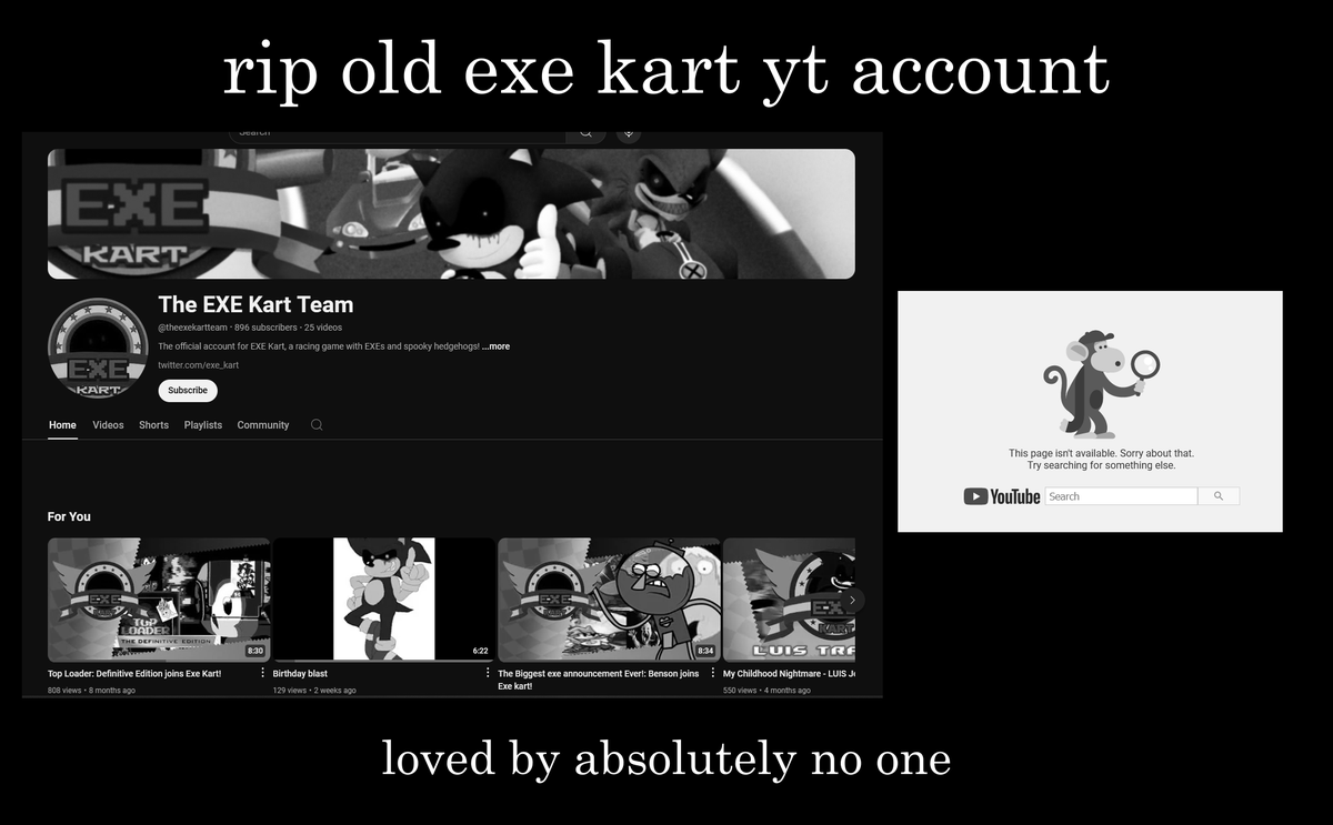 Exe Kart Official (TEAM EXE) tweet media