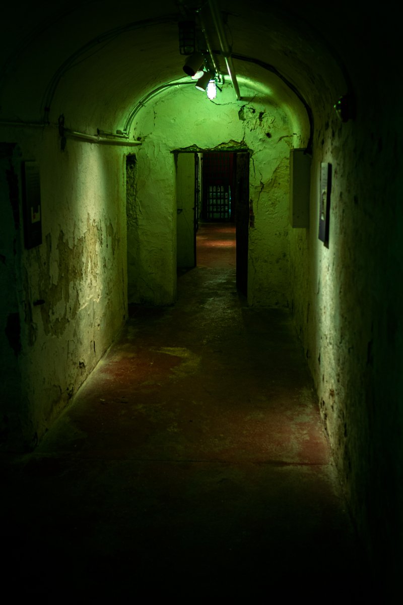 Post a photo YOU took.
Just a photo.
No description.