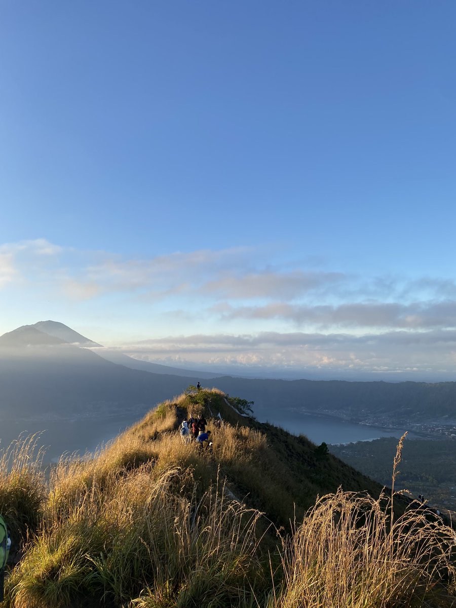 Giulia Consuma tweet media