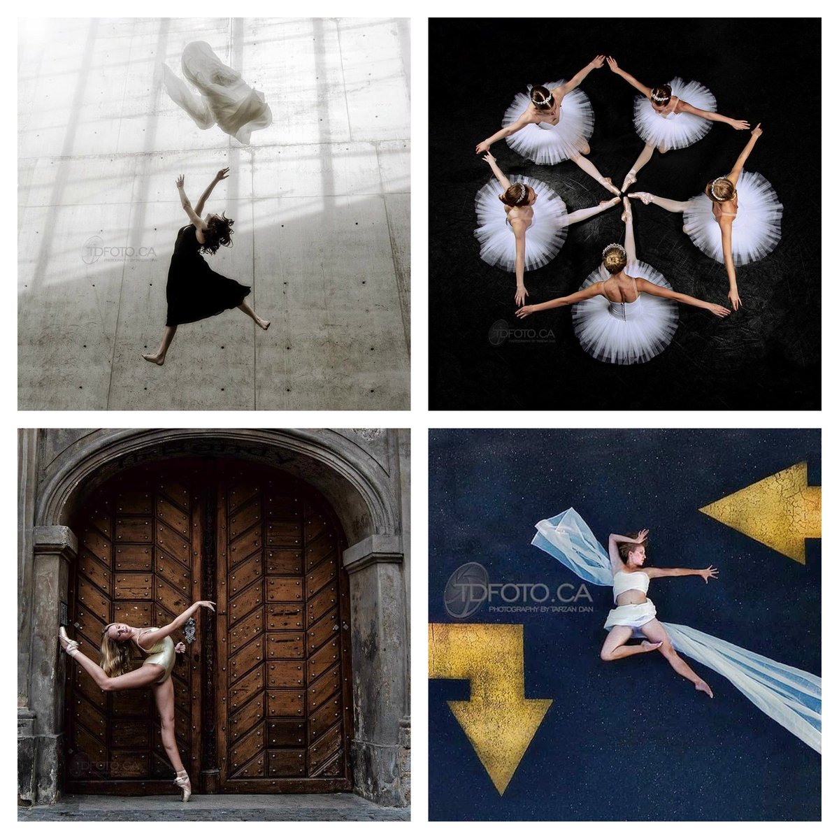 #happy <a href="/TarzanDan/">Tarzan Dan Freeman</a> <a href="/TDFotodotca/">TDFoto.ca</a>