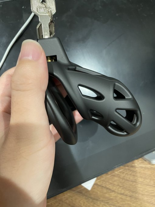 届いちまった…… 