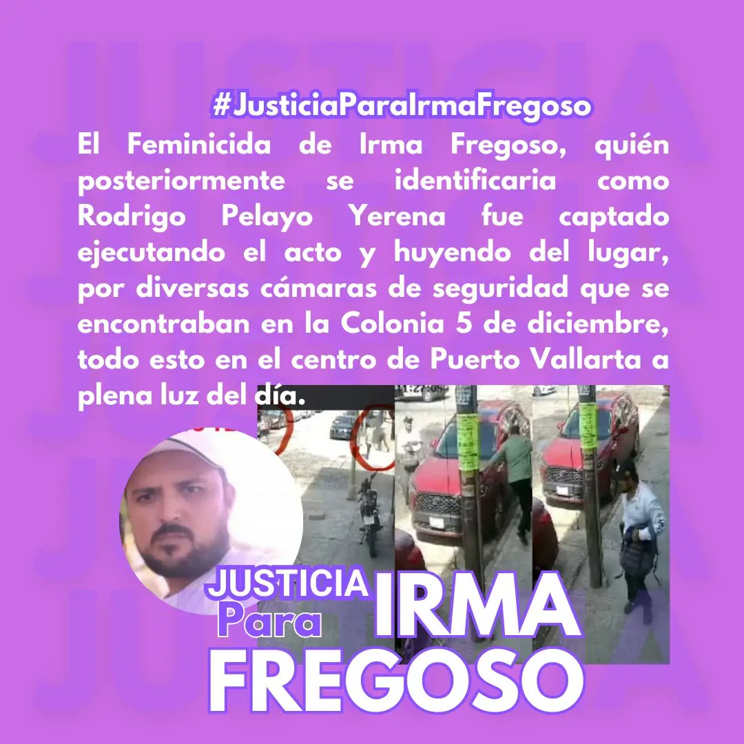 Perspectiva Violeta México tweet media