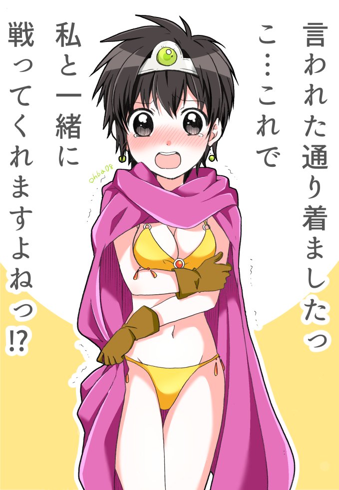 ドラクエ3/勇者ちゃんと魔法のビキニ