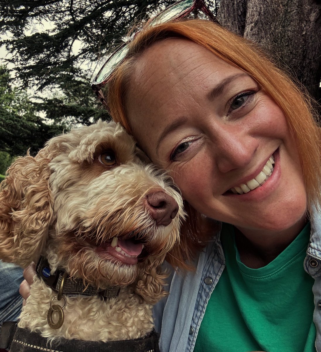 katedebo tweet media