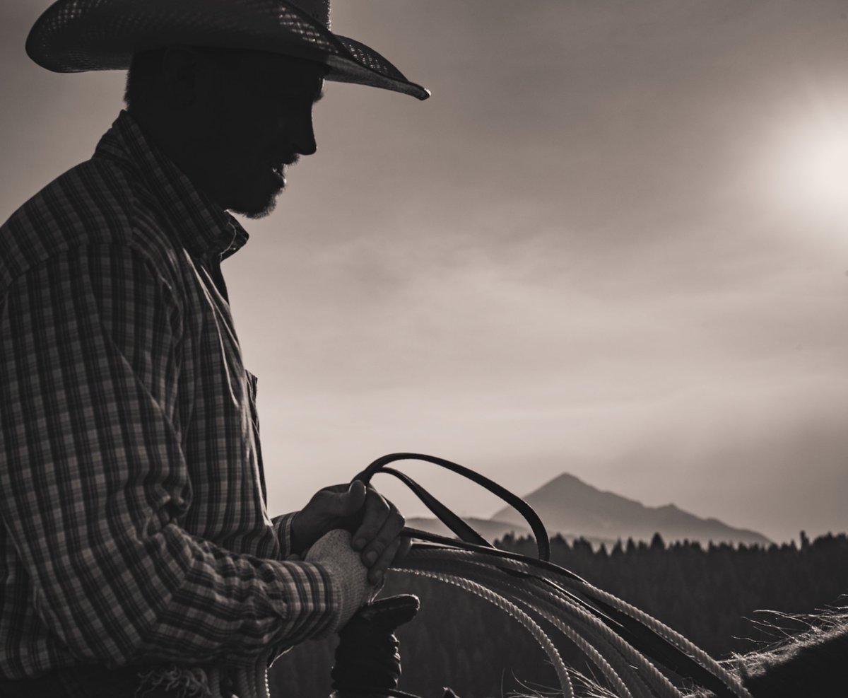 Jeremy_Rich12's tweet photo. Horseback in big sky country just hits different π€ ποΈ
#bigskycountry #cowboy #montana #rodeo #happyplace #smile #westernphotography #cowboylifestyle #prohats #wrangler https://t.co/xzpD8s20gQ
