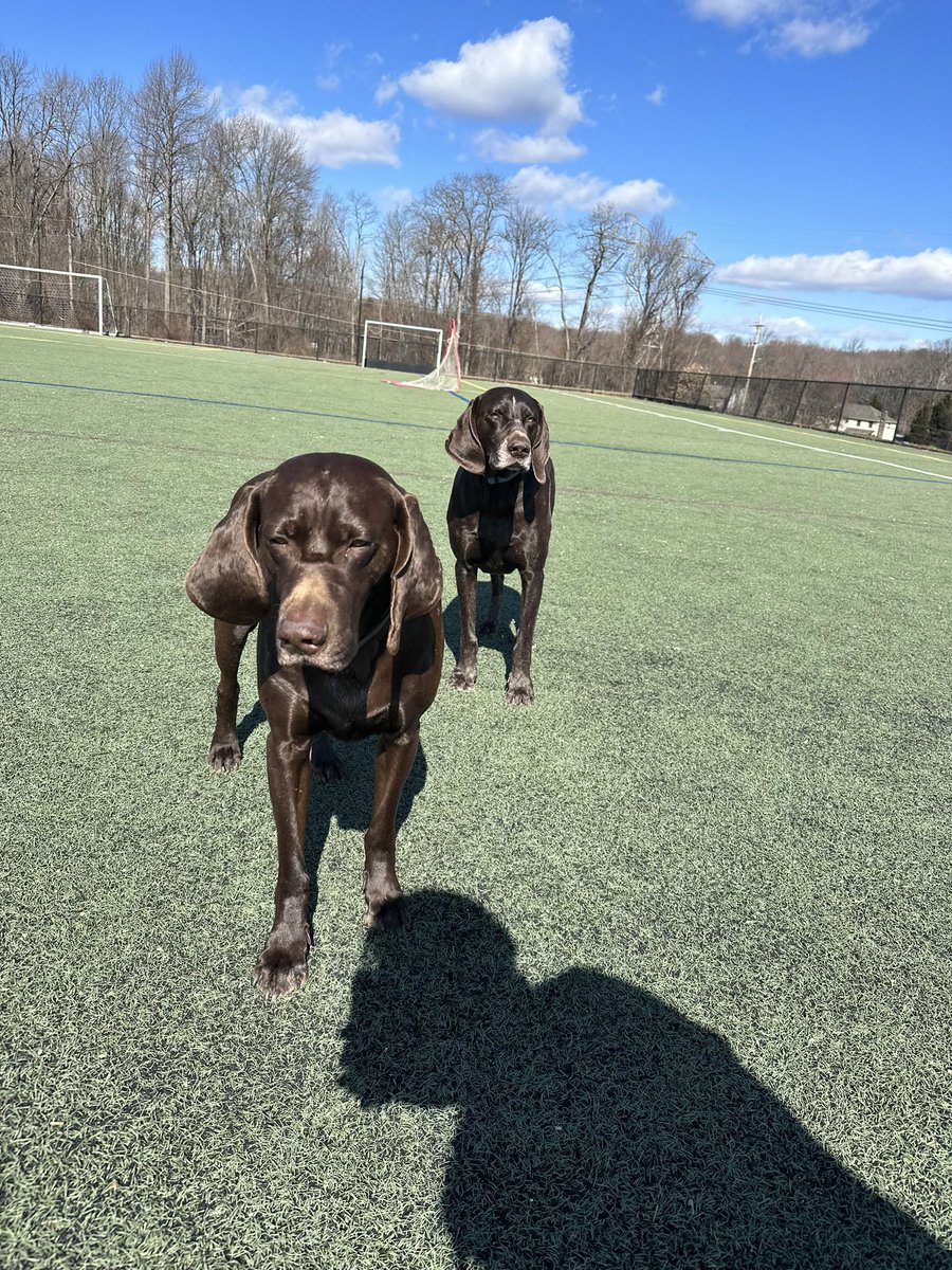 David Niu tweet media