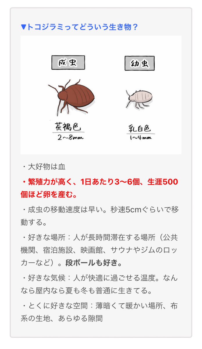 記事書きました!今回は『トコジラミ』というヤバい虫についてプロに聞いてきました。どんな虫なのか、刺されたらどうなっちゃうのか、自宅やホテルでのチェック方法なども教えてもらったよ!  トコジラミのチェック方法、見つけた時の対処法は? - イーアイデム「ジモコロ」 