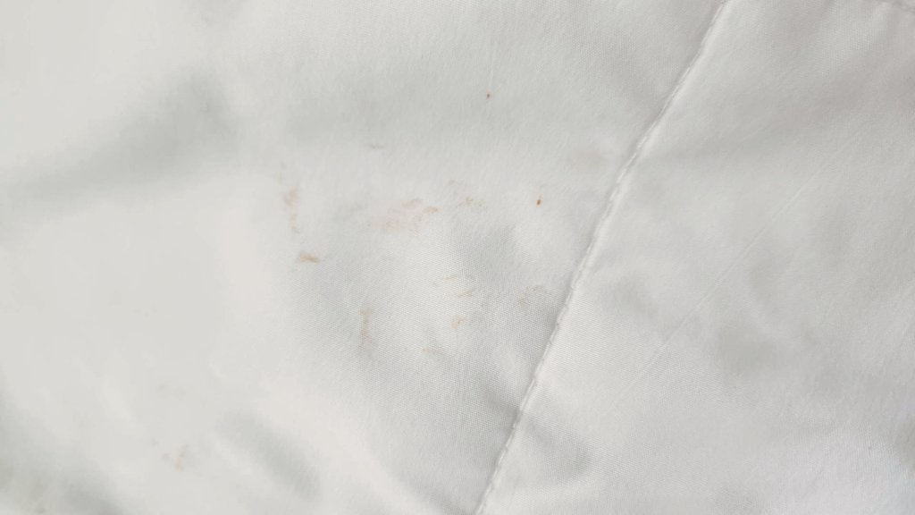 DuragSwag77's tweet photo. I'm disgust and unsatisfied our hotel room away 7 hours on vacation with blood&amp;stains on bed sheets and covers my KIDS would have had to sleep in, more than unfit for a child or any one to stay in a room under these conditions.@DaysInnDestin @WyndhamHotels https://t.co/a5EKhB4OWr