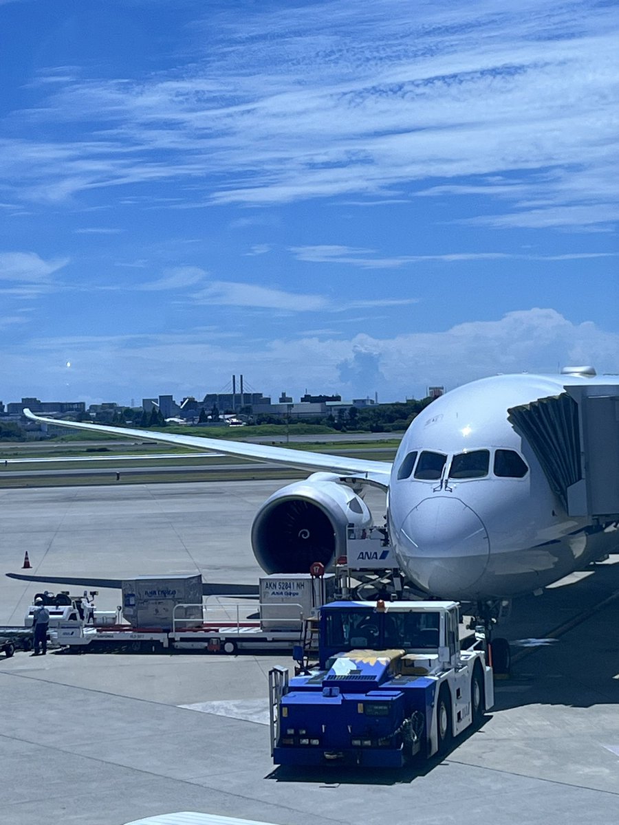 kohukutyann's tweet photo. 東京行くなう
#ANA
#ITM
#Boeing787ー9
#78G https://t.co/le8gAgbzjg