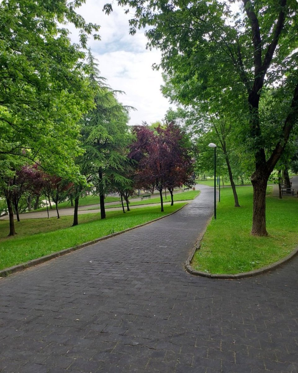 Yürüyüş için mükemmel bir hava ve park🌿