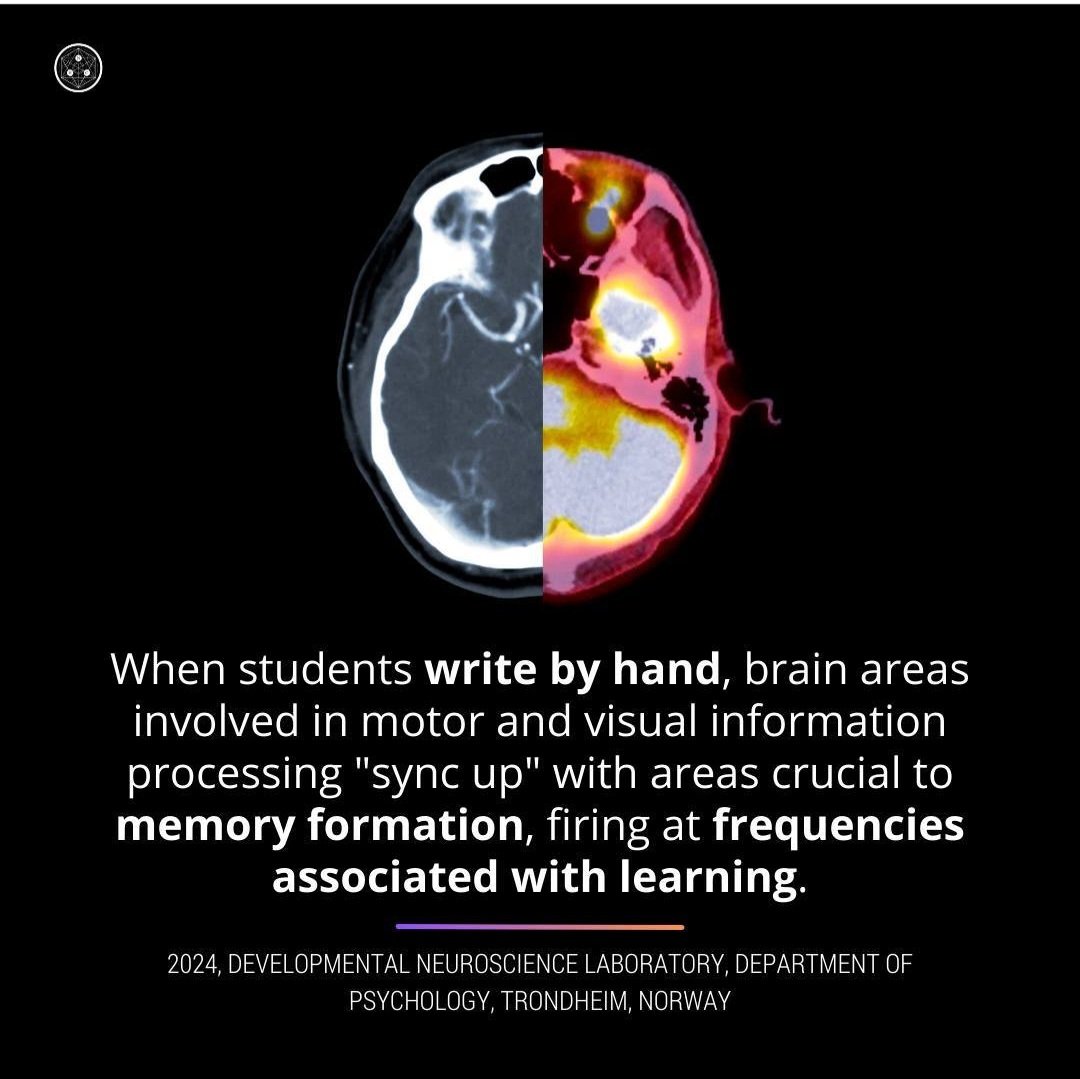 Erin Durst- 🇺🇲 History Pedagogue tweet media