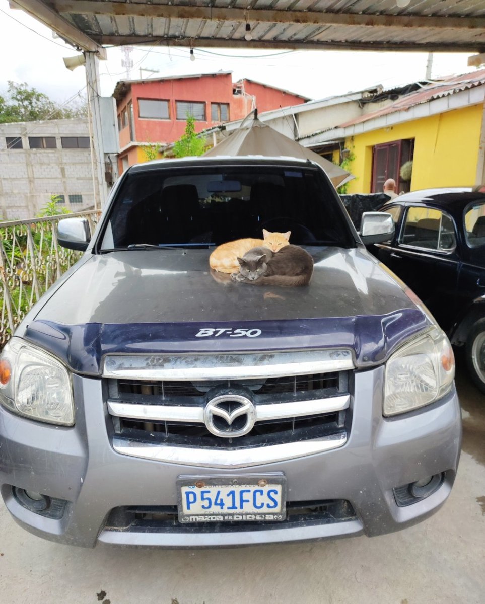 Buenos días amigos, favor ayúdennos a difundir este mensaje, CARRO ROBADO!!!
Mazda BT50 color gris Mod2012 P-541FCS Cualquier informacion comunicarse al 55666068 <a href="/amilcarmontejo/">Amilcar Montejo</a> <a href="/Ronald_MacKay/">Ronald MacKay</a> <a href="/PNCdeGuatemala/">PNC de Guatemala</a> <a href="/DTransitoPNC/">PNC Tránsito</a> #TraficoGT #Guatemala