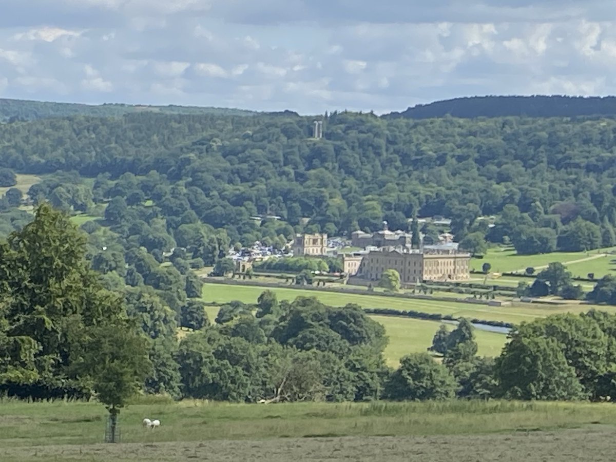 Maggie McLean tweet media