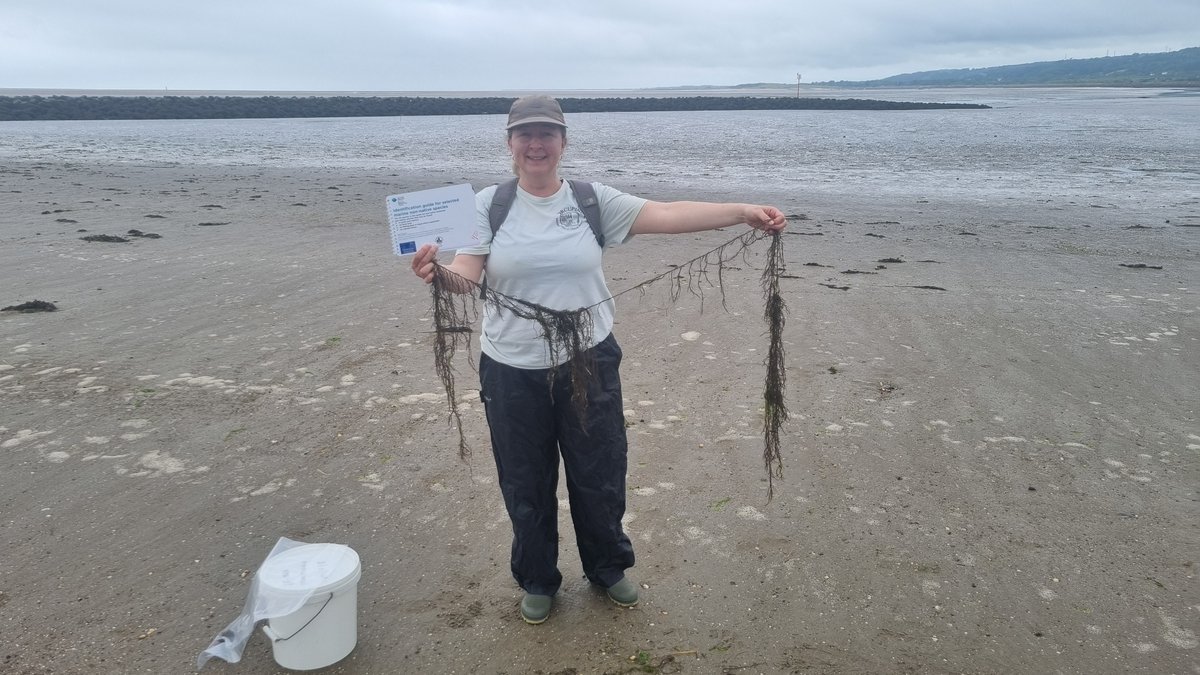 Cardiff Curator tweet media