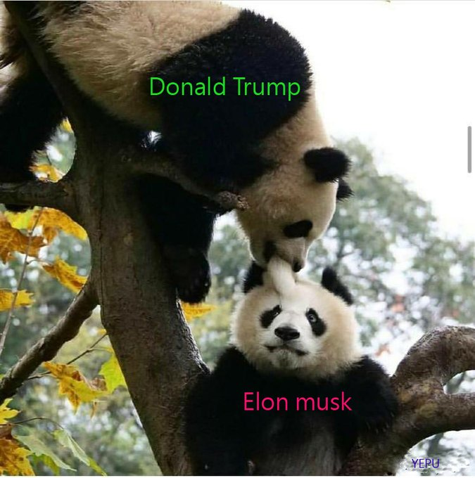 The world's most influential person ( <a href="/elonmusk/">Elon Musk</a> ) endorses Donald Trump!
#MAGA  #Paris2024