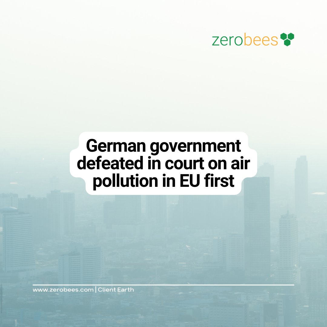 Zerobees tweet media