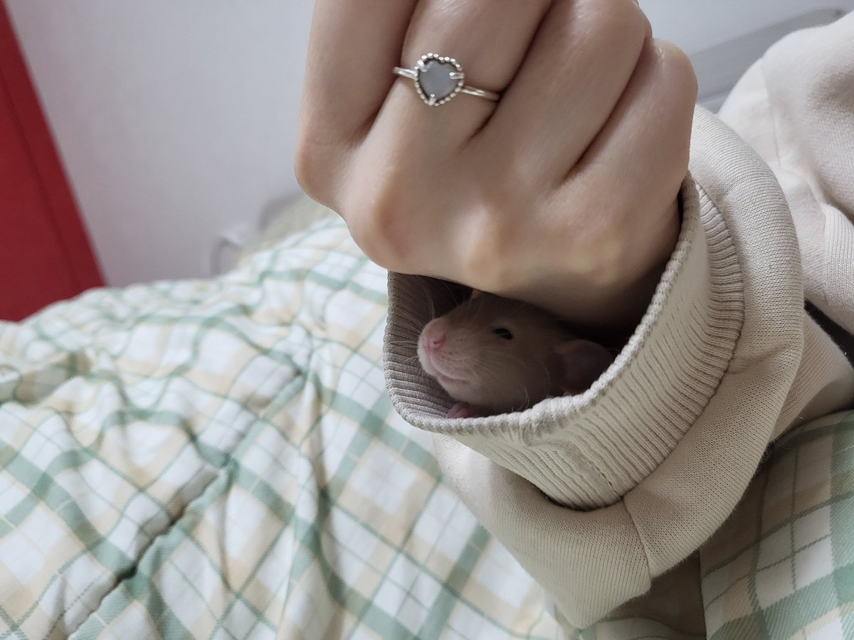 나의 툭툭이🐢 tweet media