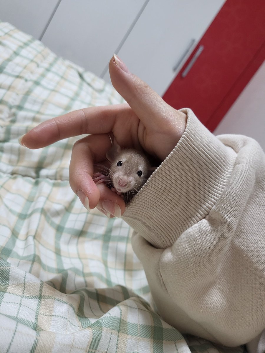 나의 툭툭이🐢 tweet media