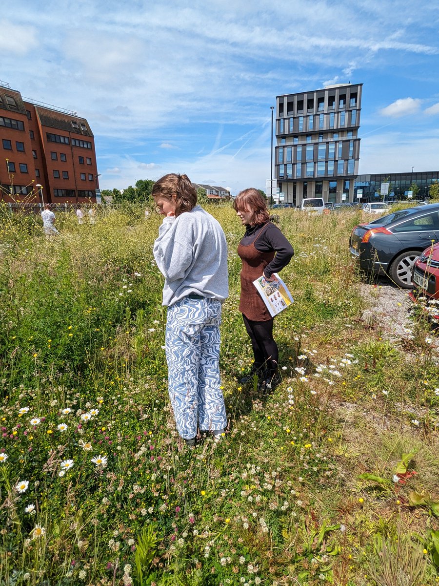Cardiff University Hedgehog Friendly Campus tweet media