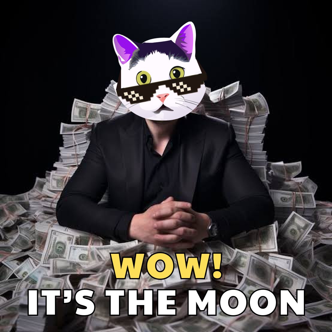 wowcatcoin's tweet photo. mr. Wow is going beyond the moon!
Come catch him 🙀👉 CA: AembhTcUUmGpTq9GWNAKt9mm7ksAa72LvP6oZTod7YyL
$WOWCat #SOL #memecoins #Airdrops https://t.co/ceCXfHAKZv