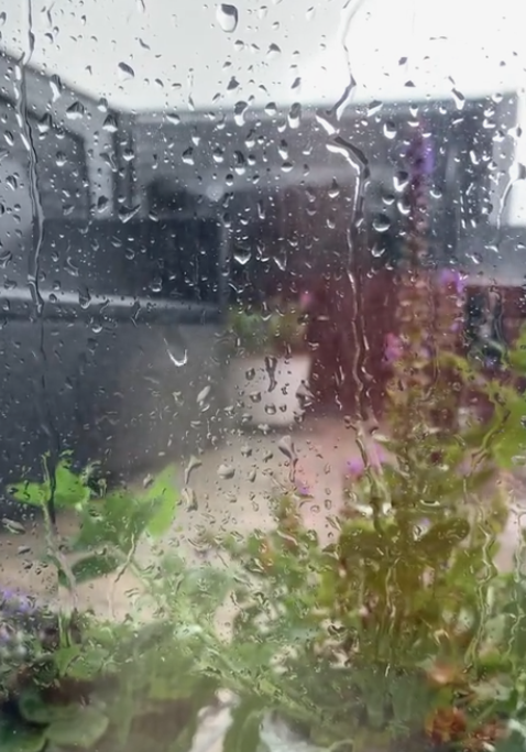 wii91102's tweet photo. (?)要下幾天，一直下雨....
#心情鬱悶
#颱風天氣 https://t.co/NhbP1kvyLS