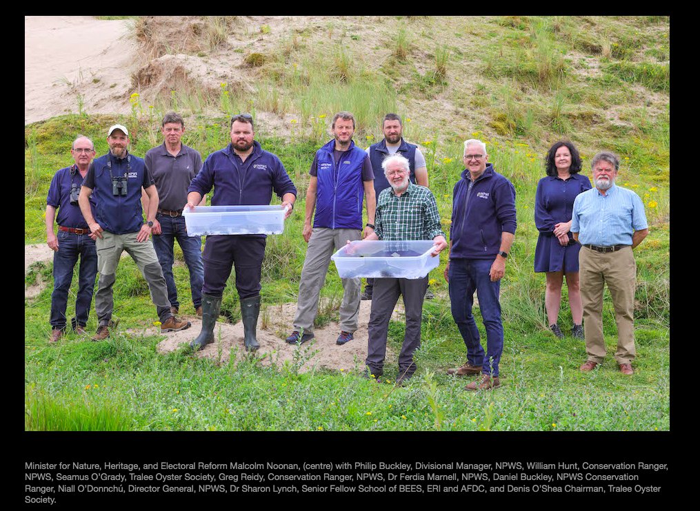 Shellfish Health Group UCC (@shellfish_ucc) on Twitter photo From oysters to toadlets, Dr Sharon Lynch was delighted to be invited to see the release of natterjack toadlets by the Minister for Nature, Heritage and Electoral Reform <a href="/noonan_malcolm/">Malcolm Noonan</a> T.D. <a href="/NPWSIreland/">National Parks and Wildlife Service</a> <a href="/uccBEES/">Biological, Earth & Environmental Sciences, UCC</a>  <a href="/eriucc/">Sustainability Institute</a> <a href="/SEFSUCC/">SEFS@UCC</a> 
lnkd.in/eCgTTpMt
lnkd.in/eu_Hn_87 From oysters to toadlets, Dr Sharon Lynch was delighted to be invited to see the release of natterjack toadlets by the Minister for Nature, Heritage and Electoral Reform <a href="/noonan_malcolm/">Malcolm Noonan</a> T.D. <a href="/NPWSIreland/">National Parks and Wildlife Service</a> <a href="/uccBEES/">Biological, Earth & Environmental Sciences, UCC</a>  <a href="/eriucc/">Sustainability Institute</a> <a href="/SEFSUCC/">SEFS@UCC</a> 
lnkd.in/eCgTTpMt
lnkd.in/eu_Hn_87