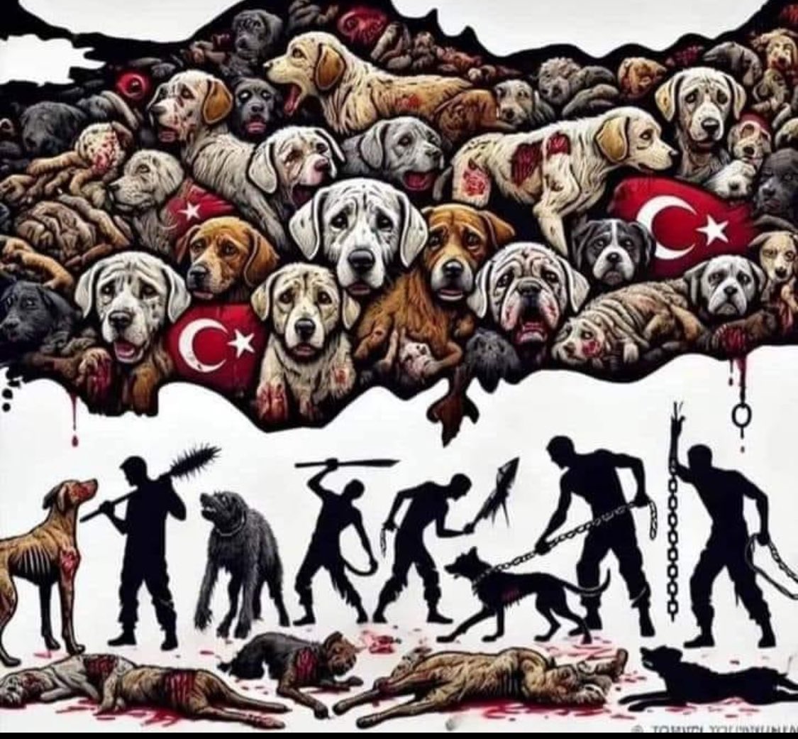 Hangi canı yarattın da Allahın izniyle hepsini öldüreceğiz diyorsun . Allah canınla sınar geçemezsin sınavı #kanlıyasayahayır #yasayıgeriçek #kanliyasayıgeriçek