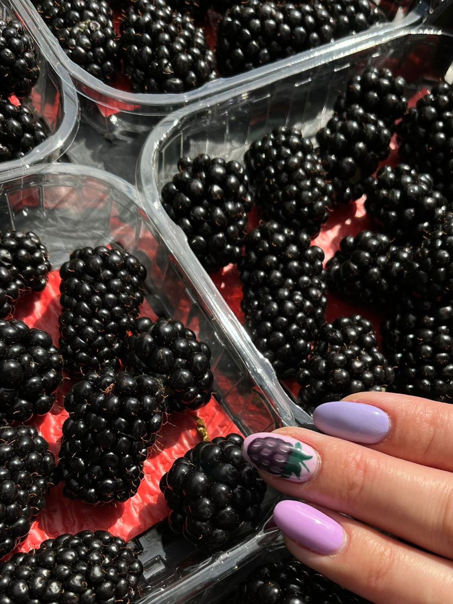 globalplantgen's tweet photo. Jamie recently visited Serbia, and captured the Natchez blackberry excelling all standards and expectations for this blackberry… these photos are too good not to share!
#Natchez #Agriculture #Horticulture #BerryProduction #BerryInnovation #HorticultureInnovation #Blackberry https://t.co/AxA2fDgrMR