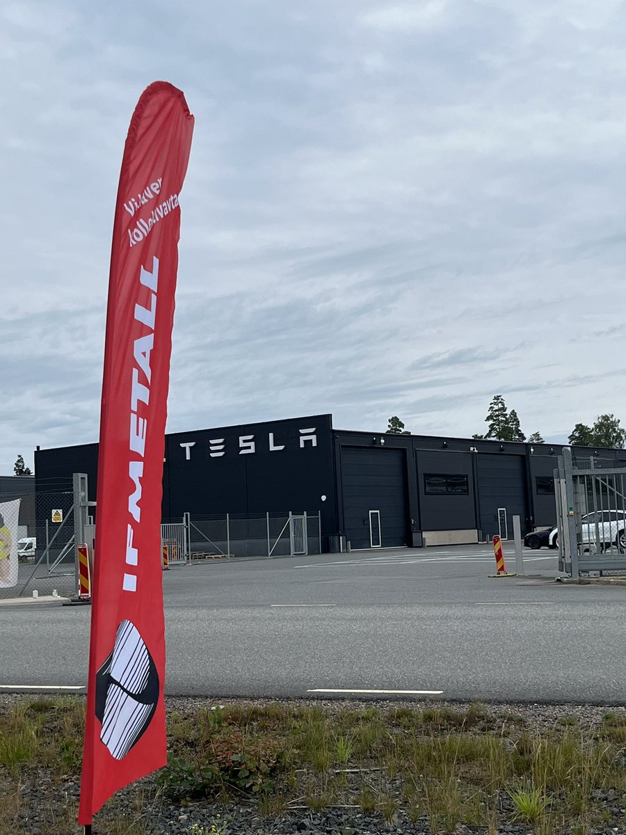 Ola Johannesson (@olajohannesson4) on Twitter photo 