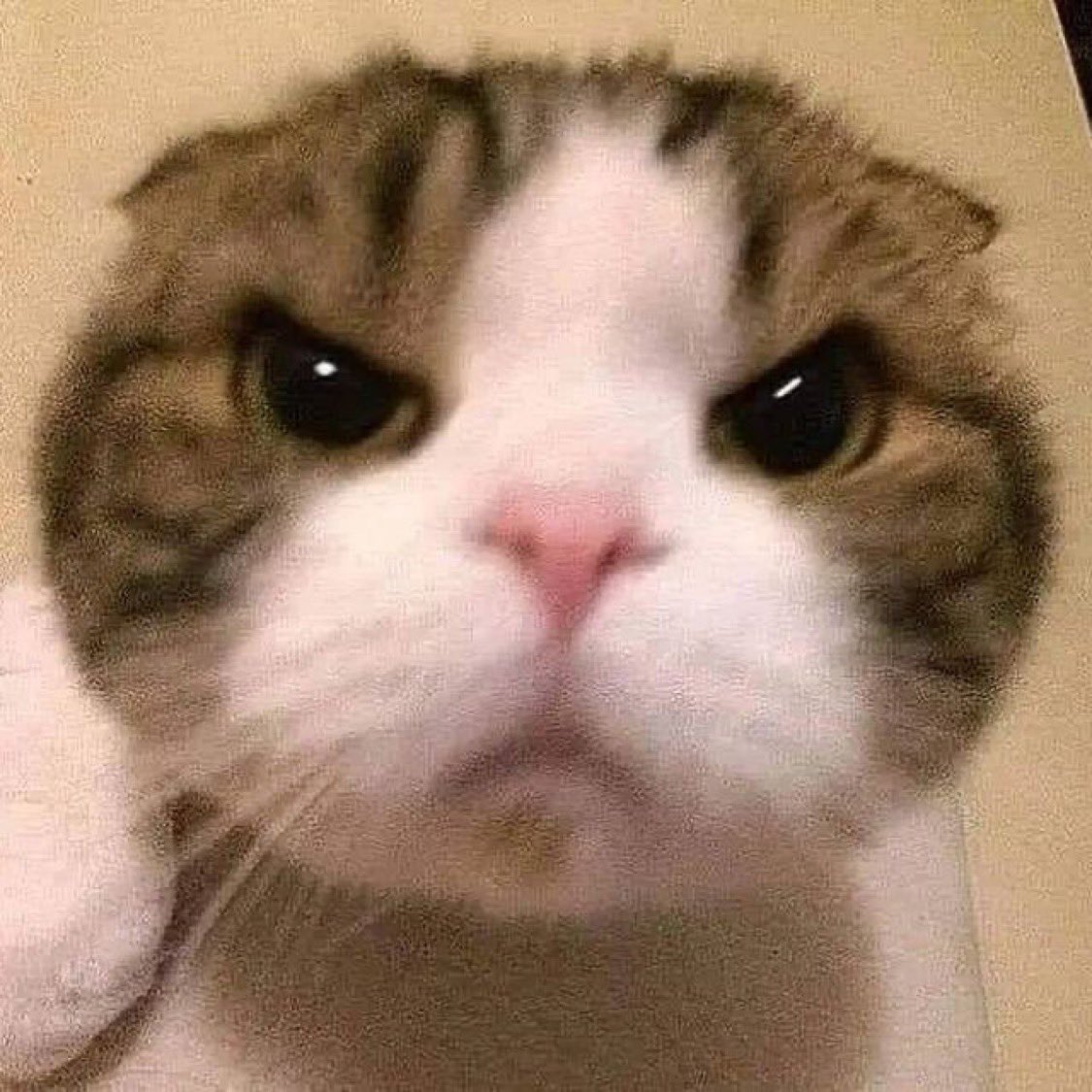 みんななにしてるの