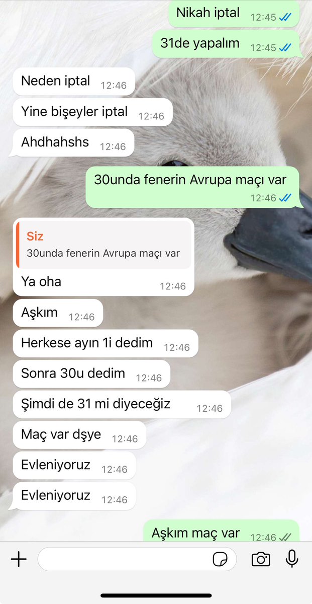 Ama fenerin maçı var <a href="/ceydaceylaan/">Cey</a>