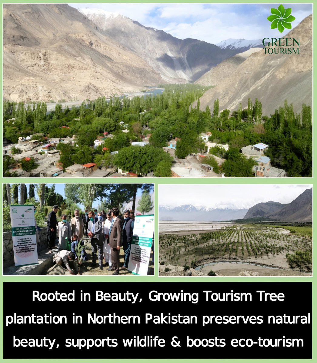 Pak_Worior's tweet photo. Grow Trees Grow Tourism 🌳💚
Invest in tree plantation in Northern Pakistan for a sustainable future. 
#ProgressOverPropaganda #Sustainability #NatureLovers #GreenTourism #ออมกรณ์นภัส
#ormkornnaphat #หลิงออม​ #LingOrm https://t.co/9wFuwAvXiH