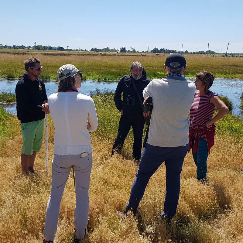 LPOVendee's tweet photo. Encore un projet de protection de la nature qui se concrétise grâce à l'acquisition foncière et l'installation paysanne ! ADELUS a soutenu la LPO Pays de la Loire, pour l’acquisition par la LPO Vendée de 9 ha de prairies naturelles. Plus d'infos sur https://t.co/ihT6bLlIE7 https://t.co/oJr6rFLAwZ