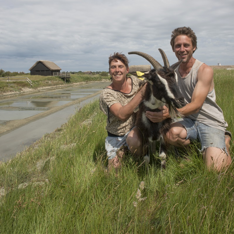 LPOVendee's tweet photo. Encore un projet de protection de la nature qui se concrétise grâce à l'acquisition foncière et l'installation paysanne ! ADELUS a soutenu la LPO Pays de la Loire, pour l’acquisition par la LPO Vendée de 9 ha de prairies naturelles. Plus d'infos sur https://t.co/ihT6bLlIE7 https://t.co/oJr6rFLAwZ