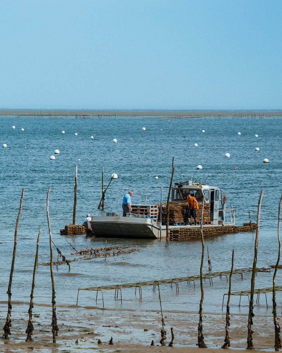 cedriclagarde's tweet photo. Le bateau ostréicole.
Village de L'herbe. Bassin d'Arcachon.
.
.
.
.
#bordeaux #bordeauxmaville #lherbe #arcachon #capferret #photographe #photographer #gironde #photographie #bordeauxmetropole #nature #huitre #ocean #bassinarcachon #art #paysages #bateau #ostreicole https://t.co/kVbN5hUUMV