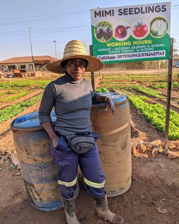 Agric_young's tweet photo. Mimi seedlings ๐ฑ ๐ฏ๐๐พ
#farming #farmers #seedlings #farmer #agriculture #nursery #agribusiness #farmlife #farmup #agri https://t.co/0Z74nFlpNc