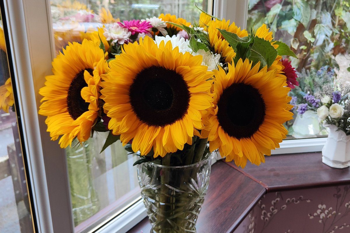 DebbieNeale's tweet photo. @Rowland1Helen look how beautiful my flowers are! #GratefulHeart Thank you for being part of my journey and @Michael_240Z . https://t.co/YFP3VXna3k