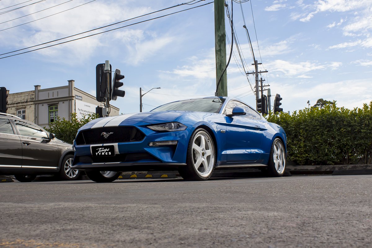 Simmons_Wheels's tweet photo. Ford Mustang 2018 💙💙
SIMMONS FR-1
White Mirror Lip
22 x 8.5 ET35
22 x 9.5 ET43
HAIDA HD921
255/30R22
295/25R22
#fordaustralia #bigbrakes #fordmustang #mustang #2018mustang #fordmustangs #mustangford #fordshelbymustang #gtconvertible #sportycars #bluemustang #tempetyres https://t.co/2u3DVoc5hC