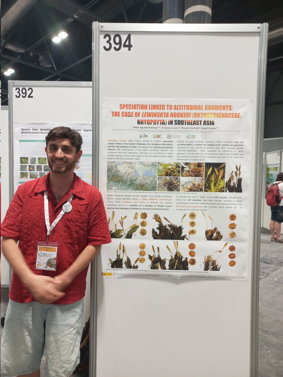 Isabel (@i_draper) on Twitter photo More on Orthotrichaceae diversification at poster 394 with <a href="/Aguado_sp/">Pablo Aguado-Ramsay</a> <a href="/OrthotreePro/">@OrthotreeProject</a> ! It's time for Lewinskya in Southern Asia, don't miss it! More on Orthotrichaceae diversification at poster 394 with <a href="/Aguado_sp/">Pablo Aguado-Ramsay</a> <a href="/OrthotreePro/">@OrthotreeProject</a> ! It's time for Lewinskya in Southern Asia, don't miss it!
